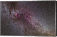 Framed North America Nebula and dark Nebulae in Cygnus I