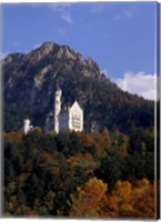 Framed Bavarian Alps and Neuschwanstein Castle