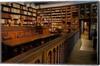 Framed Great Library, Plantin-Moretus Museum