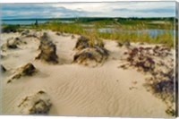 Framed Sandy Beach