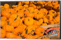 Framed Produce Market, Montreal, Quebec