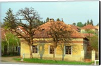 Framed House in Tokaj Village, Mad, Hungary