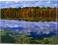 Framed Park Haven Lake in Autumn