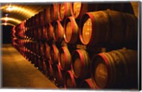 Framed Barrels of Tokaj Wine in Disznoko Cellars, Hungary