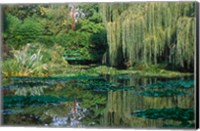 Framed Claude Monet's Garden Pond in Giverny, France