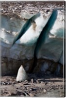 Framed Glacier Snout of Schlatenkees