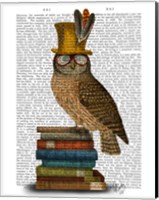 Framed Owl On Books