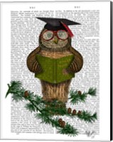 Framed Owl Reading On Branch