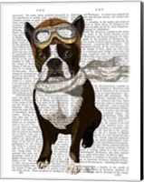 Framed Boston Terrier Flying Ace