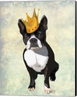 Framed Boston Terrier and Crown