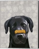 Framed Black Labrador With Bone on Nose