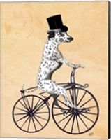 Framed Dalmatian On Bicycle