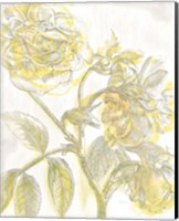 Framed Belle Fleur Yellow I Crop