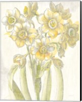 Framed 'Belle Fleur Yellow IV Crop' border=