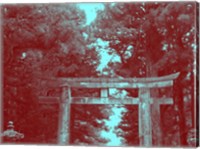 Framed Nikko Gate