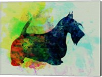 Framed Scottish Terrier Watercolor