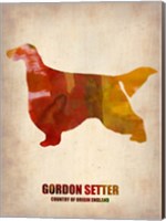 Framed Gordon Setter 1