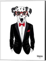 Framed Dalmatian Dog in Tuxedo