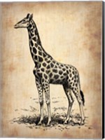 Framed Vintage Giraffe