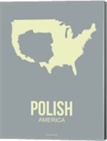Framed Polish America 1