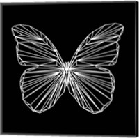 Framed Butterfly Polygon
