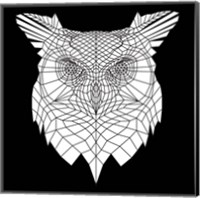 Framed White Owl Mesh