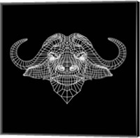 Framed Black Buffalo Mesh