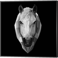 Framed Horse Head