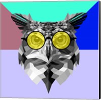 Framed Owl in Yellow Glasses