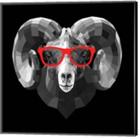 Framed Ram in Red Glasses