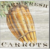 Framed Farm Fresh Carrots