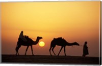 Framed Caravan, Morocco