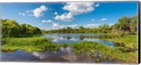Framed Deer Prairie Creek Preserve, Sarasota County, Venice, Florida
