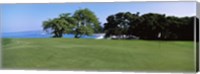 Framed Trees on a Golf Course, Manua Kea, Hawaii