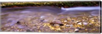 Framed Cimarron Creek, New Mexico