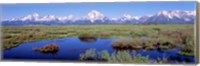Framed Grand Teton Park, Wyoming (color)