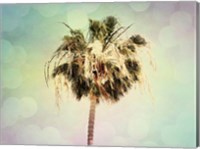 Framed Palm Trees III