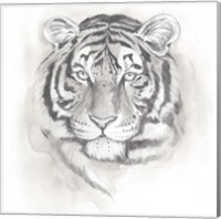 Framed Big Cat Study II