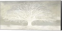 Framed White Tree