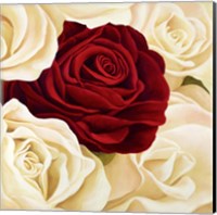 Framed Rose Composition (Detail)