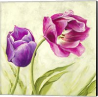 Framed Tulipani Danzanti (Detail)