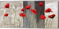 Framed Country Poppies