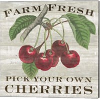 Framed Farm Fresh Cherries I