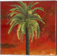 Framed La Palma on Red III