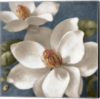 Framed Magnolias on Blue I