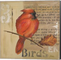 Framed Red Love Birds II