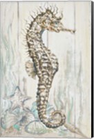 Framed Antique Sea Horse I