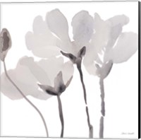 Framed Gray Tonal Magnolias II