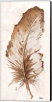 Framed Brown Watercolor Feather II