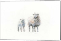 Framed Sheep and Lamb